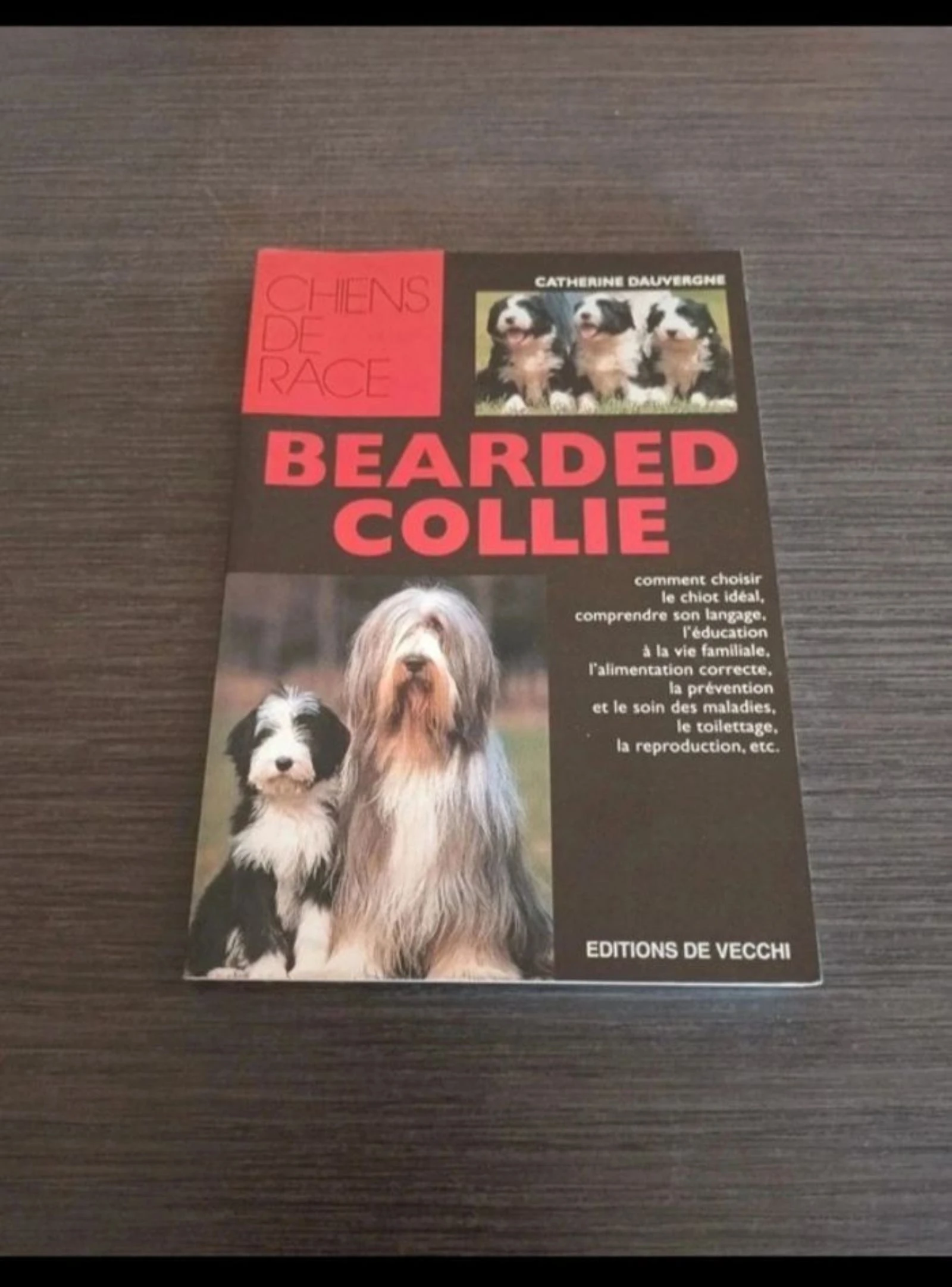 bearded collie